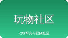 玩物社区